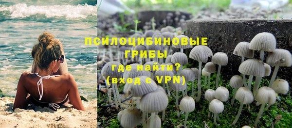 PSILOCYBIN Балахна