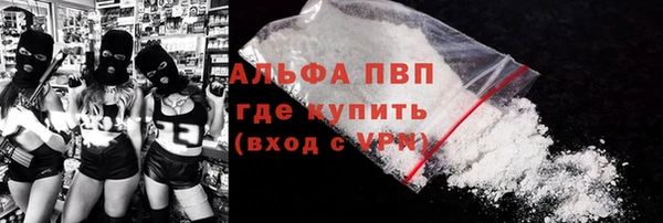 PSILOCYBIN Балахна