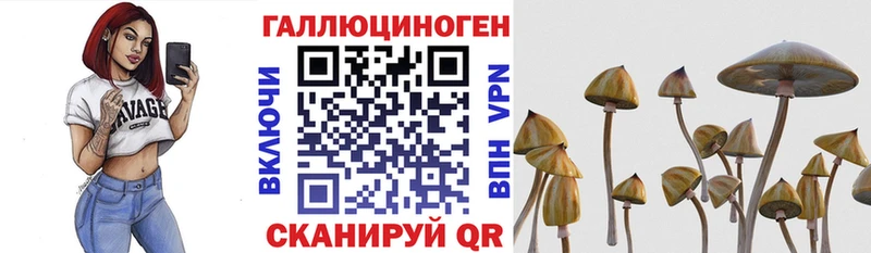 Галлюциногенные грибы мухоморы Куртамыш