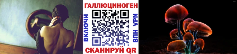 Галлюциногенные грибы Psilocybine cubensis  мега ССЫЛКА  Куртамыш 